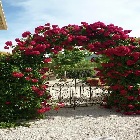 Apartment In With Garden, Cleaning Included